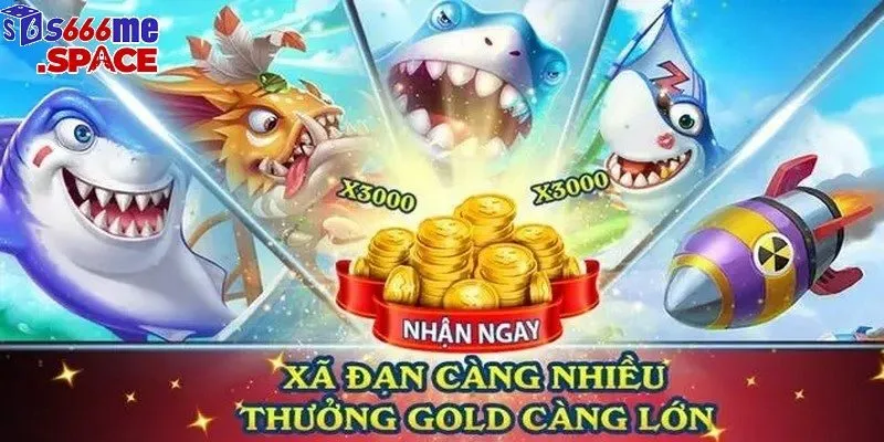 ban ca 777 anh dai dien