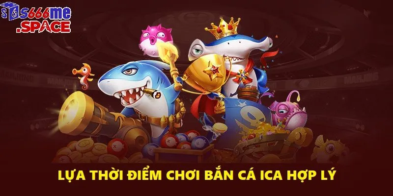 Khung giờ ít người chơi giúp bạn dễ dàng săn cá lớn mà không bị cạnh tranh