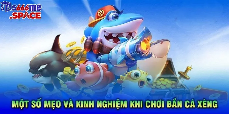 Chọn súng phù hợp và nhắm bắn chính xác  là chìa khóa dẫn đến thành công