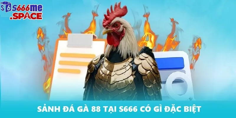 Hình ảnh sắc nét cùng âm thanh sống động cho bản cảm giác như ở sới gà