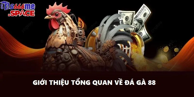 Đá gà 88 là thể loại cá cược được yêu thích nhất tại s666 trong năm 2025