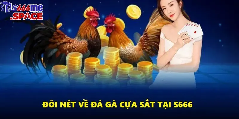 Đá gà cựa sắt tại s666 đang được đông đảo người tham gia mỗi ngày