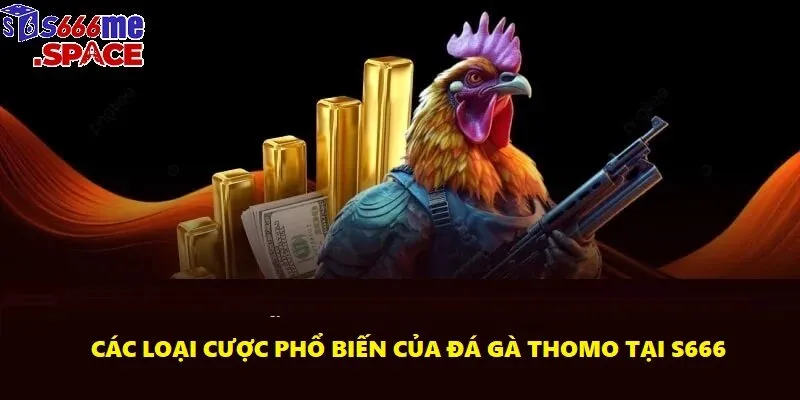 Cược thắng thua là hình thức phổ biến và dễ chơi nhất của chọi gà Thomo