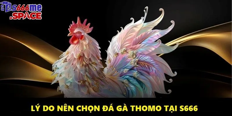 Còn gì tuyệt hơn rút tiền nhanh chóng khi thắng tại một nền tảng cá cược online