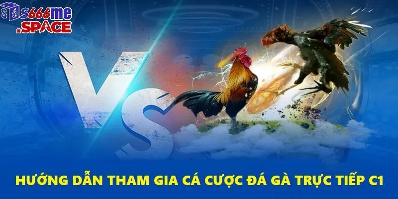 Bạn đã có thể tham gia cá cược đá gà và tận hưởng chiến thắng chỉ với 5 bước