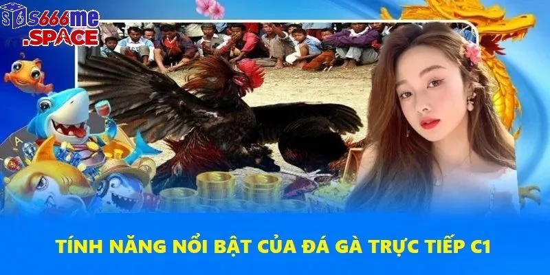 Hình ảnh sắc nét cùng âm thanh chân thực như ở sới gà